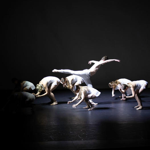 NewcastleB's tweet photo. Video auditions now being accepted for 2022! 
As all of NSW is out of the studio right now, we have made it as easy as possible to still audition for NBT Full Time Program !
Email nbt1@live.com.au https://t.co/9ZKZyx094t