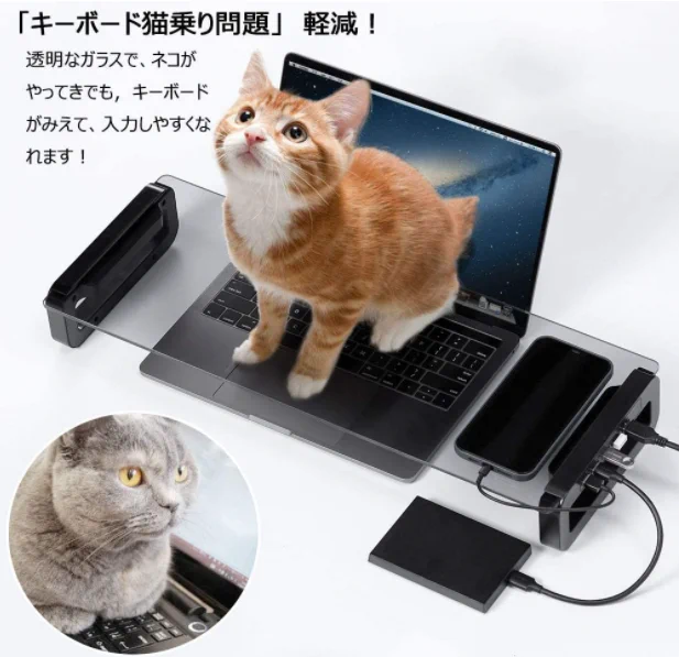 ネコがパソコンのキーボード乗れない台座、しかしモニターが見えないｗｗｗ