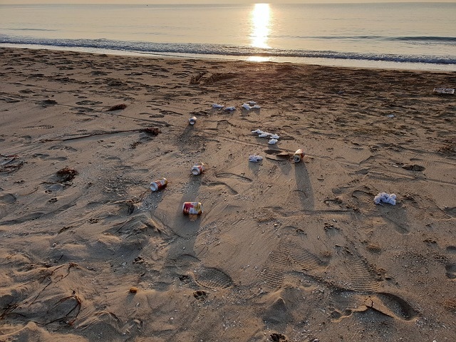 We’re getting our colleagues together to #SpruceUptheSevern at Beachley Point and Lydney Harbour today!  🌊 

This exercise prioritises the environment as we build team bonds! 

#PublicaPeople #wearemodern #weareauthentic #weareflexible #wearethoughtful