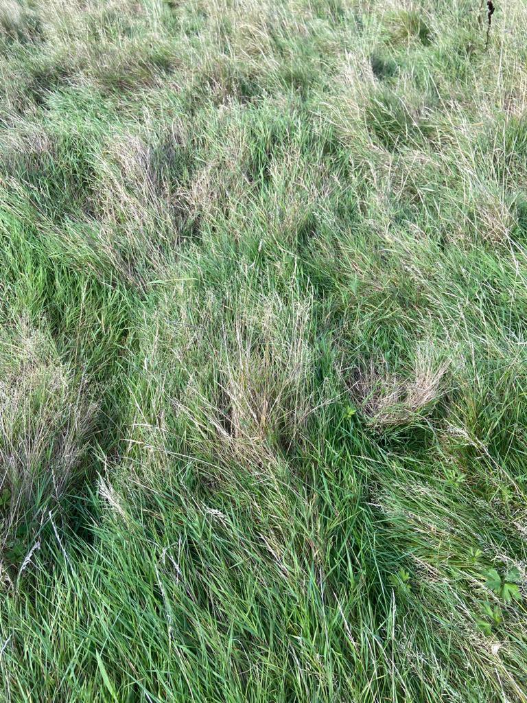 Few more highlights from a fantastic Triark Golf day!