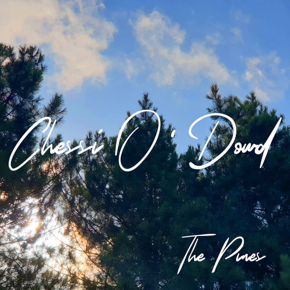 Rockbottoms Promotions tweet media