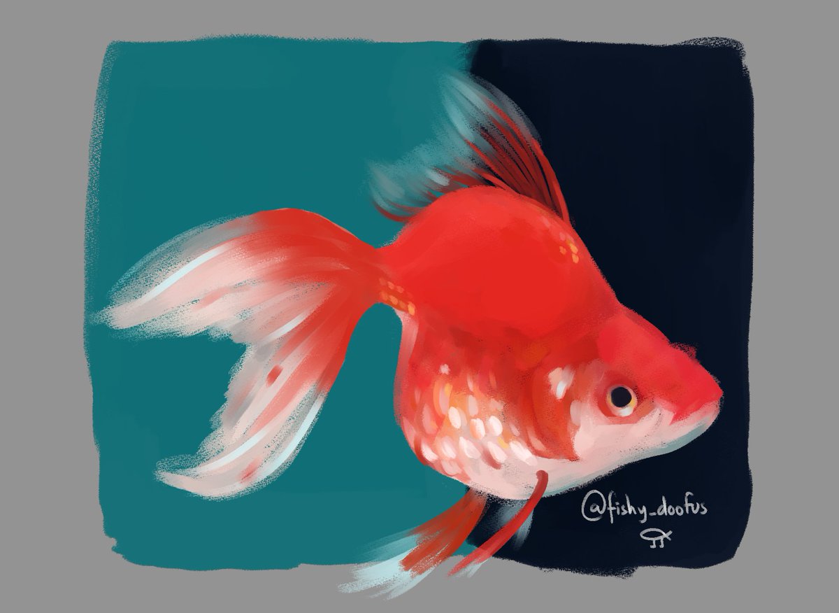 tapi yoka tweet media