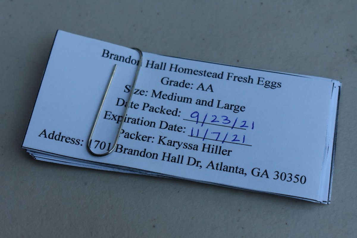 Brandon Hall School tweet media