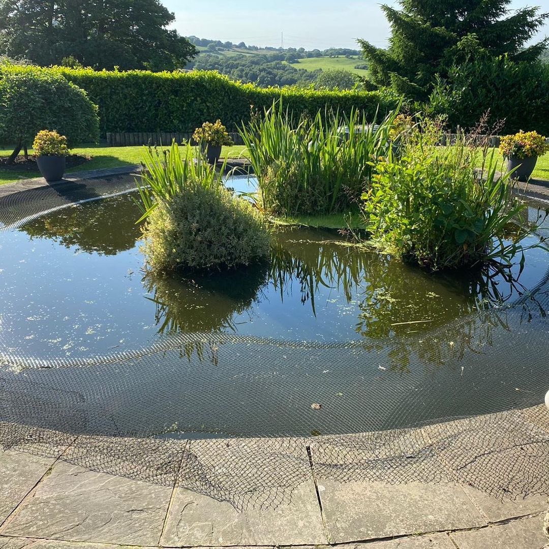 EvolutionAqua's tweet photo. New video live on @NishikigoiUK YouTube channel… Adding a K+Advanced filter to an existing Nexus 320 system, fantastic pond with amazing views!!

https://t.co/jWtYBg8uH0

#EvolutionAqua #QualityNishikigoi #Nexus #PressureFilter #PondFilter #Pond #NaturalPond #KoiPond #Koi https://t.co/LLGzQPNYcD