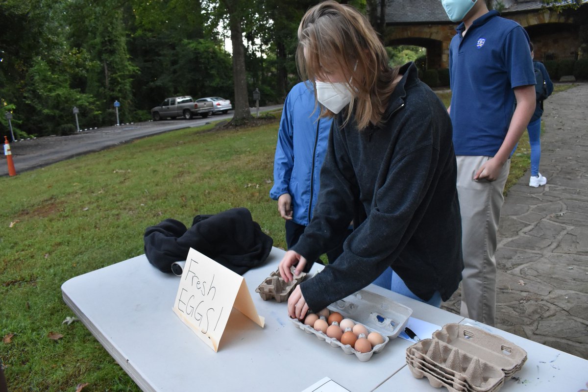 Brandon Hall School tweet media