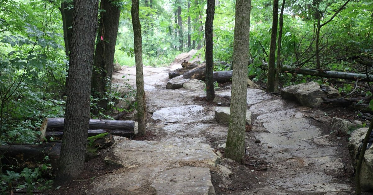 MiStateParks's tweet photo. The Potowatomi Mountain Biking Association volunteers maintain and build multiple DNR mountain biking trails in southeast Michigan. Thank you to all our volunteers! Visit https://t.co/f6iBjtm3BW to learn more and support their efforts. #MichiganTrailsWeek https://t.co/ewQWthQXvd