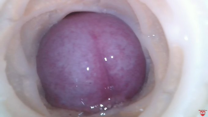 Hello everyone 🤠😎We have a new experiment with a camera inside the vagina 💋🥳 @pornhub @modelhub https://t