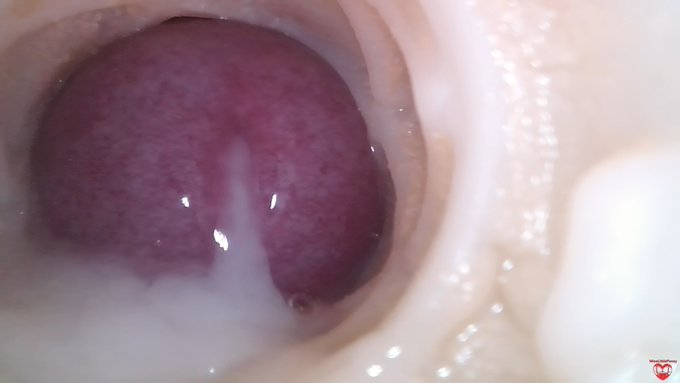 Hello everyone 🤠😎We have a new experiment with a camera inside the vagina 💋🥳 @pornhub @modelhub https://t