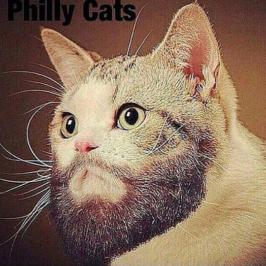 #PhillyCats