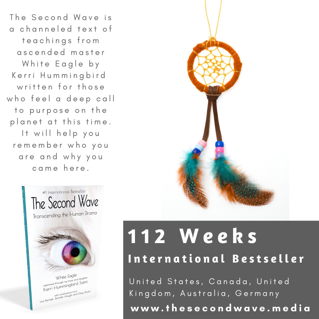 Request: If you've read this book, can you leave a review please?
mybook.to/TheSecondWaveB…