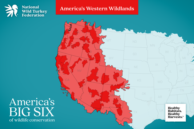 NWTF_official's tweet photo. Since 2018, the NWTF has conserved and enhanced 65,231 acres in its Western Wildlands. The focus on the region has been to combat catastrophic wildfires and degradation, making forests fire-tolerant, water cleaner and wildlife habitat more viable.
https://t.co/uO8KORKTOJ https://t.co/EzELkepHDs