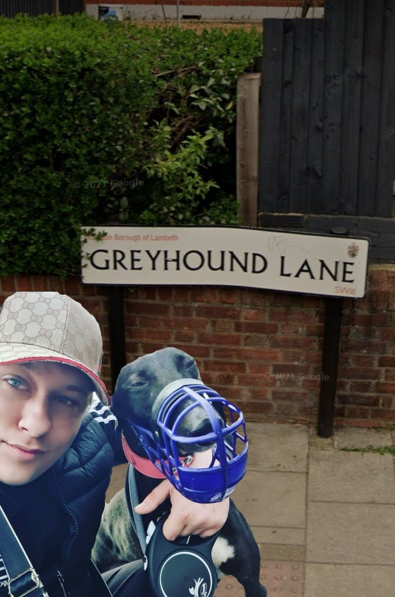 MannyTheGrey's tweet photo. So I came across this road sign. And had to take a picture of it. If only I had my greyhound with me. Unfortunately I didn't so I had to photo shop her into the picture
😂😂😂😂 https://t.co/arE294013v