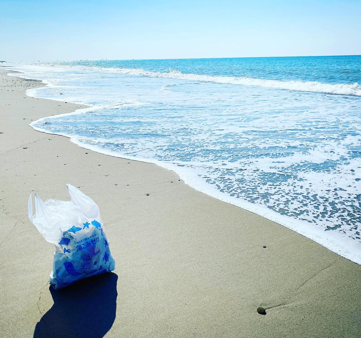 Omaezaki Beach Cleanup 御前崎ビーチクリーンナップ 9 24 海岸清掃bで初めてマリモの様なものを発見 Omaezakibeachcleanup Omaezaki 御前崎 海岸清掃 ビーチクリーン Beachcleanup 海洋プラスチック問題 Microplastics ゴミ拾い Beach Sdgs