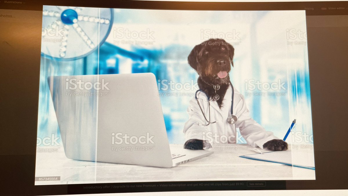 ItsGoneAwry's tweet photo. They’re also trained in office work! #doctordog https://t.co/pcpniIPi8v