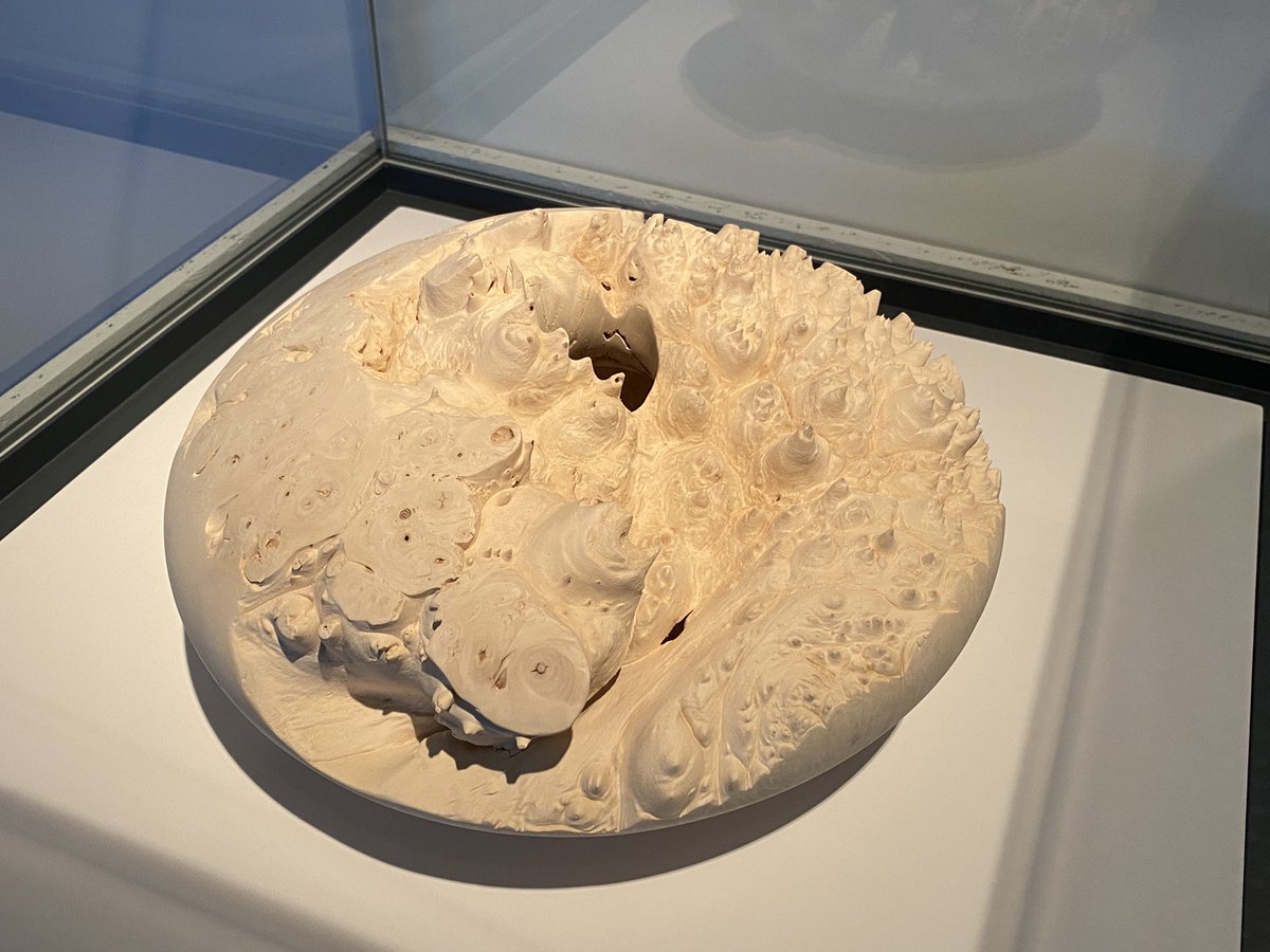 TinctureOfMuse's tweet photo. And @EleanorLakelin weird but captivating wooden tree sculptures that connect us to nature. This wood is from a tree in #Dulwich. #LondonMakingNow @MuseumofLondon https://t.co/eRi0H6dnON