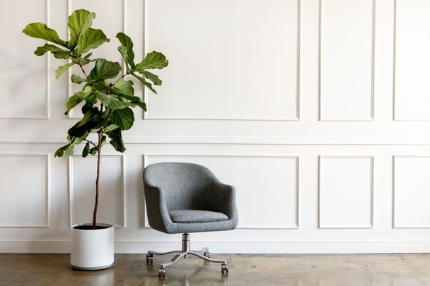 It can be hard to find an office chair that’s good quality, comfortable and affordable, so we did the work for you. Check out our blog to find the best office chair for under $300! Read More: bit.ly/2Xrfd4o