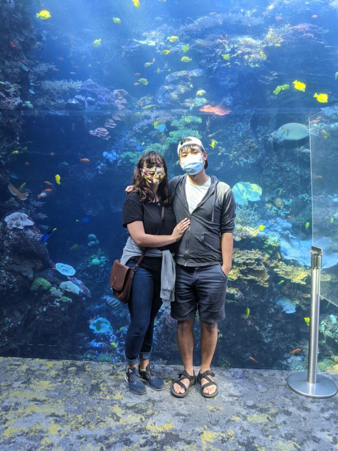 Here’s my obligatory “we are alive and doing fine” post.