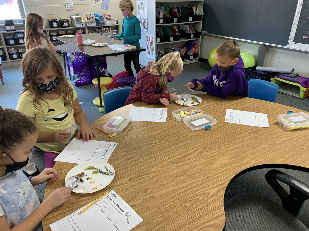 Burris2nd's tweet photo. We were so excited to be scientists today and make observations! 🧑🏼‍🔬🔎👩🏽‍🔬 Thanks to Mrs. Vignali for bringing in the outdoors for us! 🪳🌼🌽 #connectses #bulletpride https://t.co/qxKBuZESNr