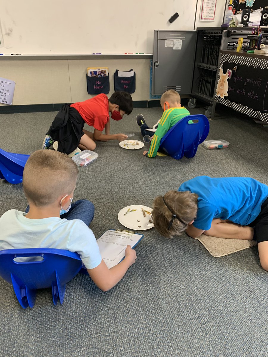 Burris2nd's tweet photo. We were so excited to be scientists today and make observations! 🧑🏼‍🔬🔎👩🏽‍🔬 Thanks to Mrs. Vignali for bringing in the outdoors for us! 🪳🌼🌽 #connectses #bulletpride https://t.co/qxKBuZESNr