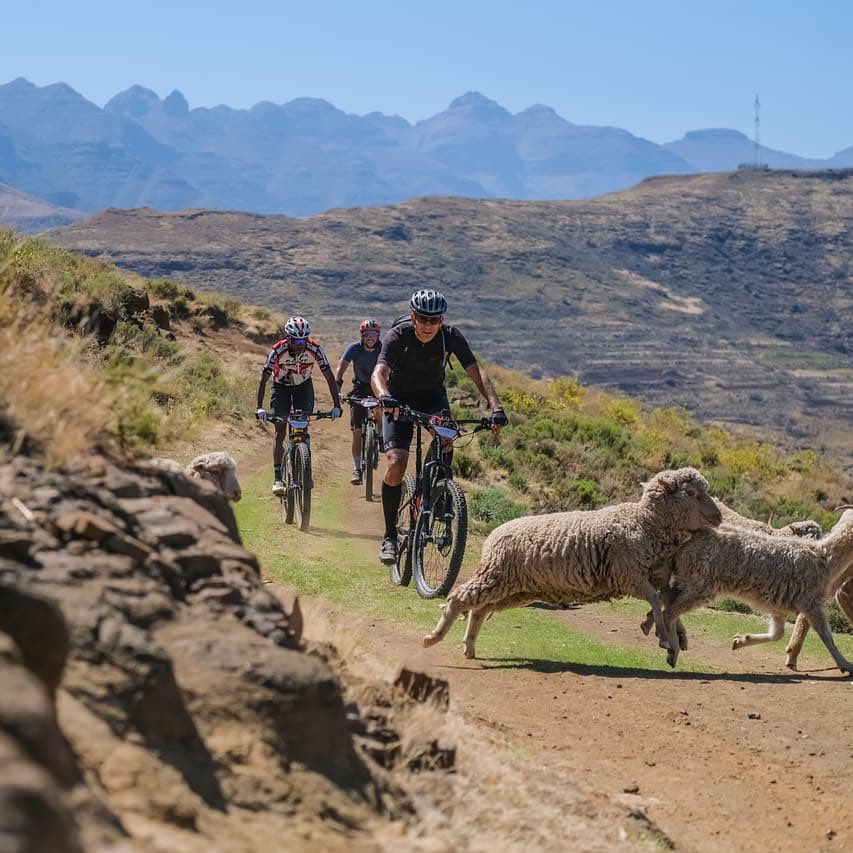 LesothoSky (@lesothosky) on Twitter photo The Makhaleng Valley would have been impossible without trail building. Much love to <a href="/Malealealodge/">Malealea Lodge</a> and Raw Lesotho for keeping the MTB spirit alive in the Mountain Kingdom.
Next Stop: Semonkong & The mighty Maletsunyane Falls & Gorgeπ
#visitlesotho #mountainbike #cycletwitter The Makhaleng Valley would have been impossible without trail building. Much love to <a href="/Malealealodge/">Malealea Lodge</a> and Raw Lesotho for keeping the MTB spirit alive in the Mountain Kingdom.
Next Stop: Semonkong & The mighty Maletsunyane Falls & Gorgeπ
#visitlesotho #mountainbike #cycletwitter