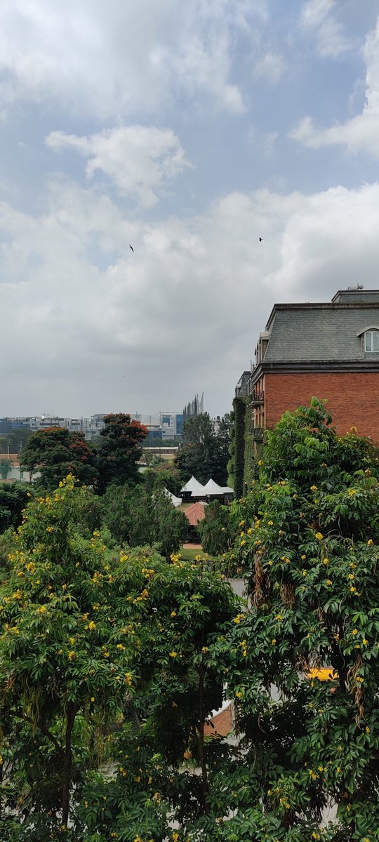 charmiekapoor's tweet photo. Launching my Rs.499/- cohort based course on how to find a home in Bangalore. Includes:
 
• case studies on optimising location vs budget
• insights from previously failed deals
• 1:1 sessions with seasoned brokers
• how to cope with rejections
• Bonus tips for bachelors https://t.co/QkMN55wuUb