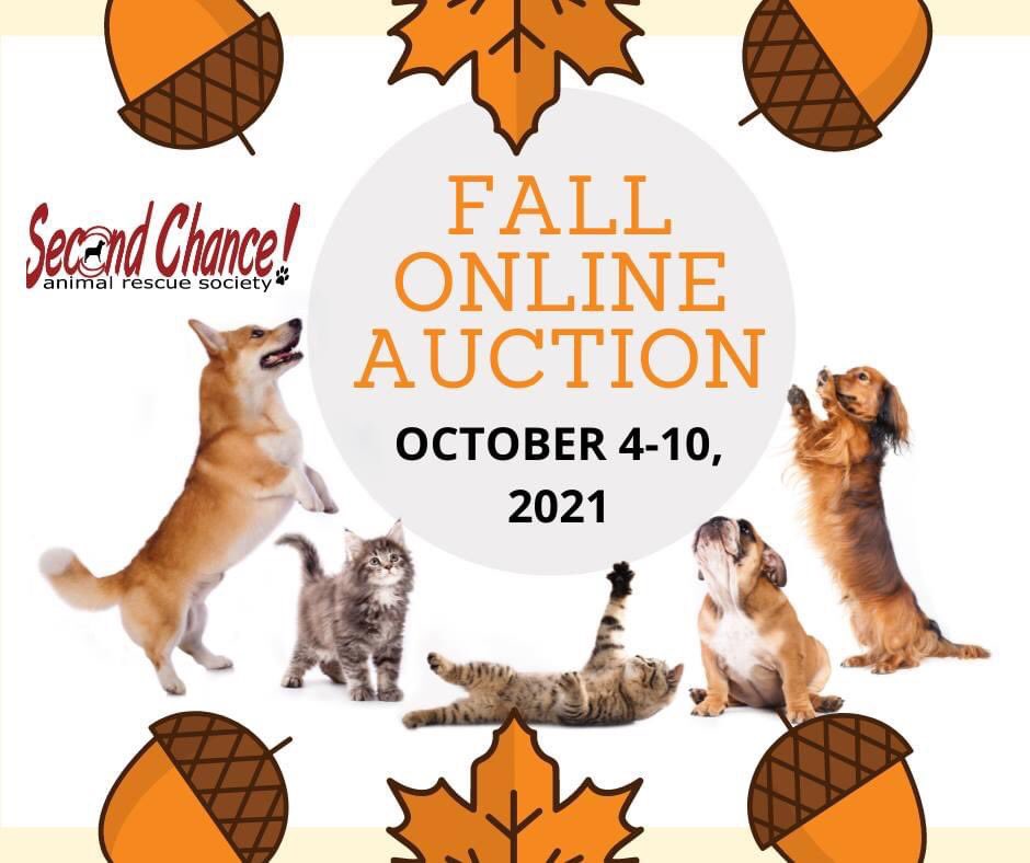 SCARS_Alberta's tweet photo. Get ready for our Fall Online Auction! #supportlocalrescue #AdoptDontShop https://t.co/Ouy03F2NiY