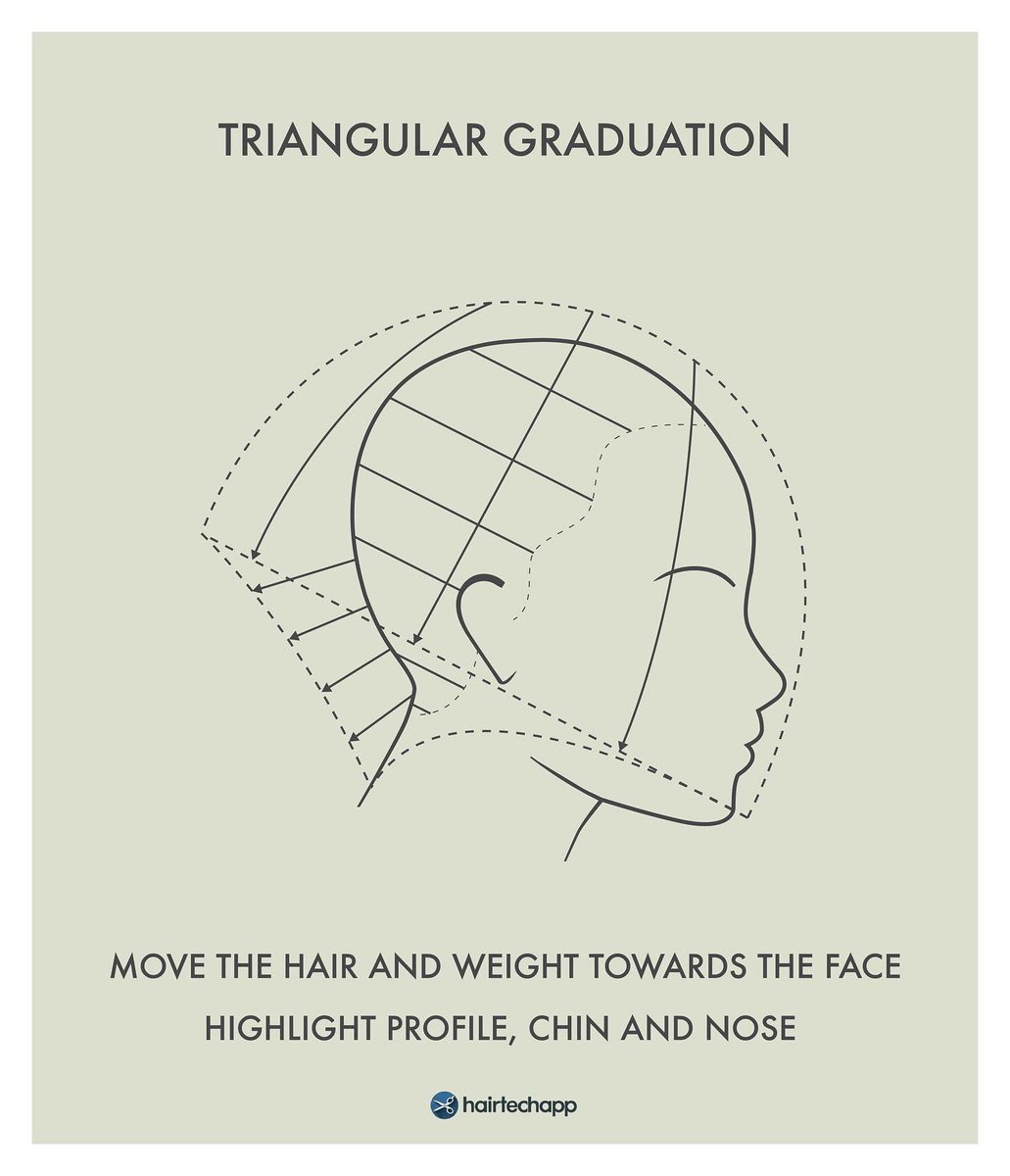 hairtechapp's tweet photo. ⚡️Today we talk about GRADUATION⚡️

✔️It’s a build up of weight.
✔️Elevation of the hair from the head at an angle of 90 degrees or lower.
✔️ Elevation determines the amount of graduation. #cuthair #hairstylist #haireducation #hairtechapp https://t.co/Q9imOKZ0fJ