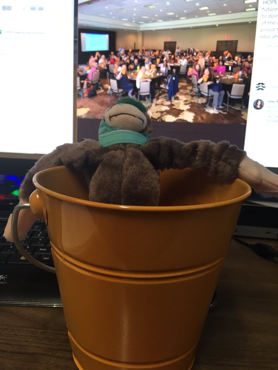 Mann4Edu's tweet photo. @JDbekind247 @N2Learning Great to hear & see the inspiration & commitment from #PI11
Yes! The bucket 🪣 will always be full & sometimes we need to look for ways to shift the monkey 🐒 to get the work done ✅ but we can do the work!
😀
#txpvi #YouGotThis https://t.co/6Z36zF5l8S