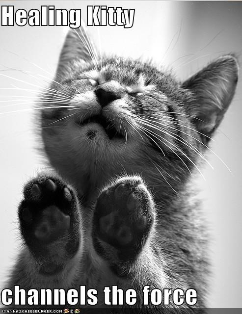 NowReiki's tweet photo. #feeltheforce #reikipower 
We help #pets #heal too! Our #reikimasters would love to work with your pets!
#reikipets #reikipethealing #pethealing #petenergyhealing https://t.co/wqFLvv84Ec