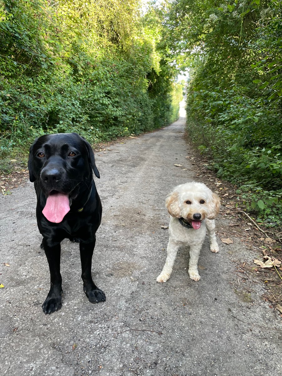 GrainStorageRob's tweet photo. Walk 2 before going to the pub. #Fridayteatime https://t.co/eDgVWt6usH