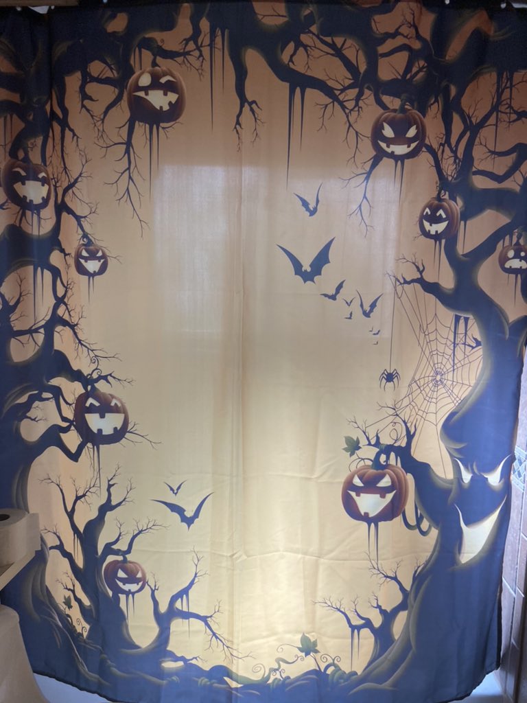 josephfotinos's tweet photo. Hanging in our guest bathroom and not, as I suggested, in our bedroom. ๐
#stilldecorating #NotOverTilWeSay #HaventStartedOutsideYet https://t.co/oUVdp5JWBG