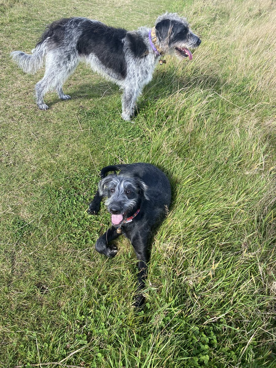 Quality time with the kids 💛👌🏼