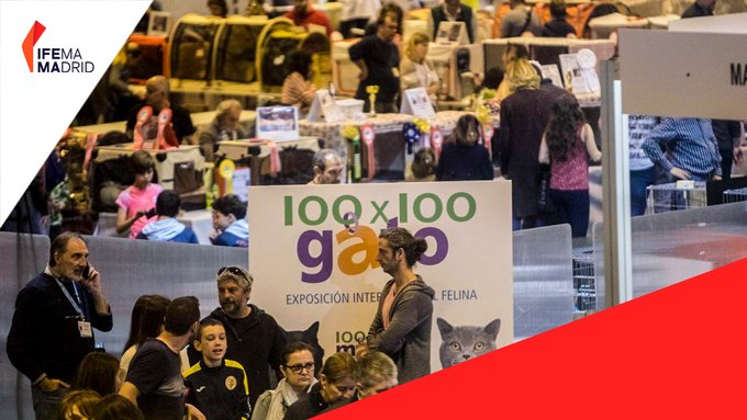 Foto cedida por IFEMA