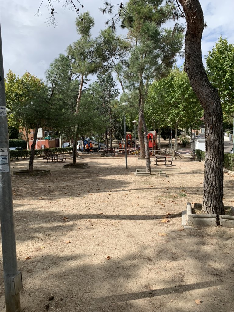 SSouzaCruz's tweet photo. En #PozueloDeAlarcon ahora cortan árboles sanos, en el #parque de la calle #zafiro han cortado dos arboles de unos 20 años, quitándole toda la protección y la sombra a los juegos infantiles, no se entiende. https://t.co/qnN9O81XIO