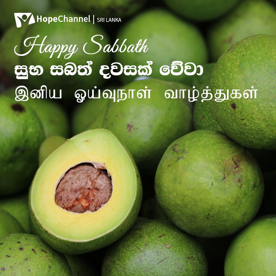 Happy Sabbath Hope Channel family! 
හොප් පවුලේ සැමට සුභ සබත් දවසක් වේවා!
ஹோப் குடும்பத்தினர் அனைவருக்கும் இனிய ஓய்வுநாள் வாழ்த்துக்கள்!

#HopeforSriLanka #HappySabbath #Beblessed #PraiseGod #Hope