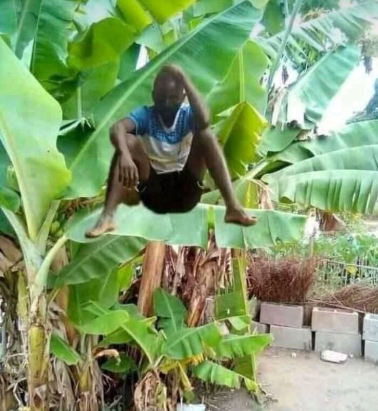 duncanmboh's tweet photo. @Mpilo_Perci @c_yar1 Wavusa omkhulu abalele https://t.co/5jHU0jlpCL