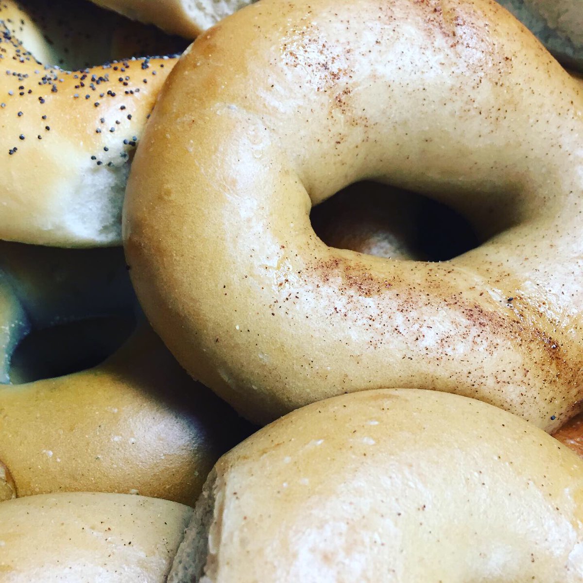 HBTheScoop's tweet photo. Stop by for some freshly baked bagels!! Yummy
#bagels #breakfast #asaigo #bagelsandwich #holdenbeach https://t.co/d99Jl0V4Pb