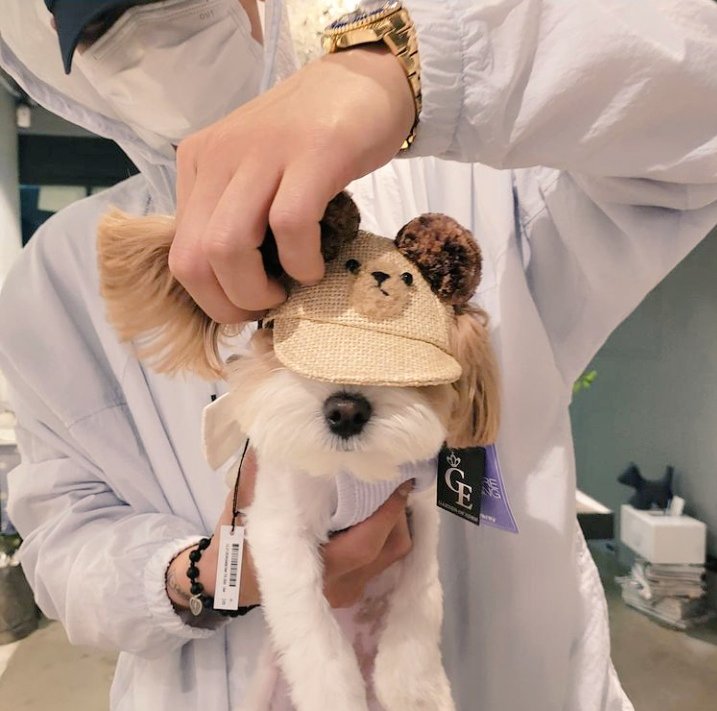 acciochankai's tweet photo. Their barely visible faces and dogs💖 https://t.co/nQjX7mHIT9