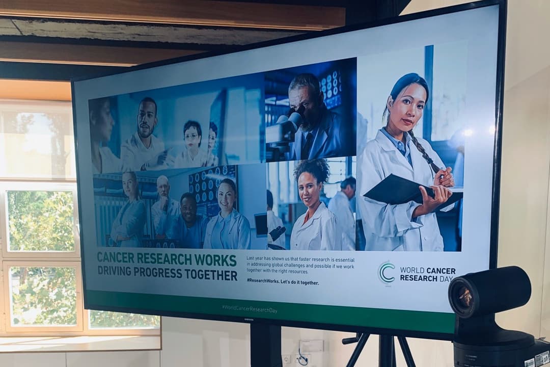 Agencia MacGuffin tweet media