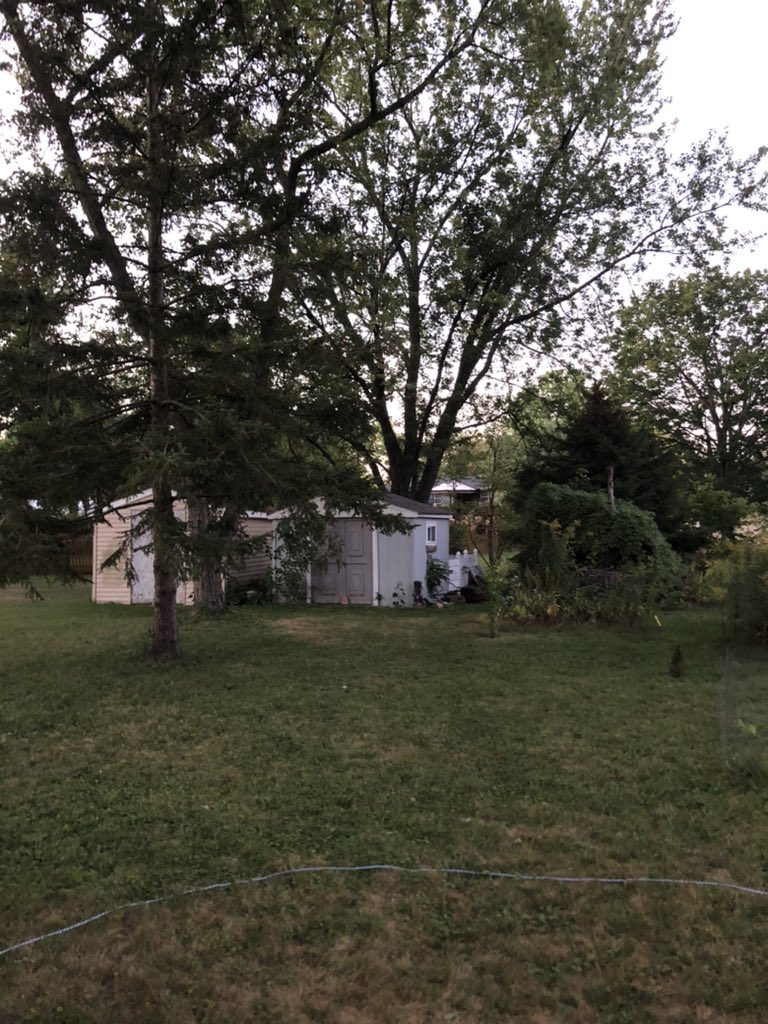 DBCbirds's tweet photo. Our birding #BigSit for IOS in Downers Grove started pre-dawn at 6:30 am. First birds were Northern Cardinal, American Robin, and White-breasted Nuthatch. Follow along as we try to break our record! https://t.co/5qDrnAWx8T