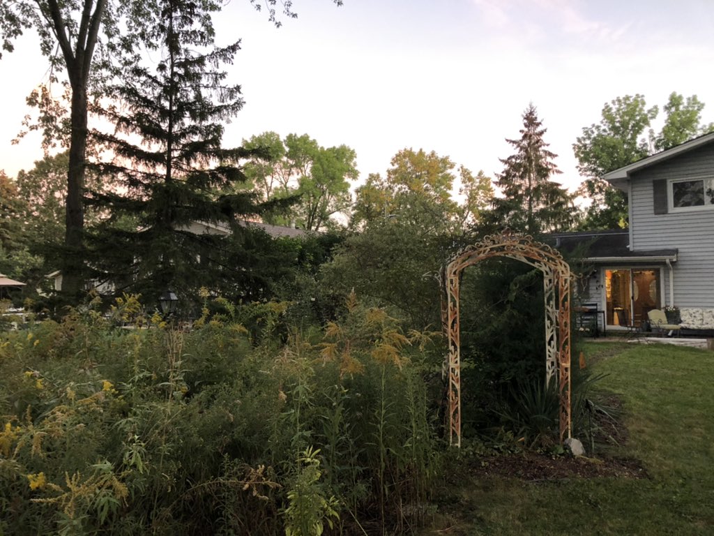 DBCbirds's tweet photo. Our birding #BigSit for IOS in Downers Grove started pre-dawn at 6:30 am. First birds were Northern Cardinal, American Robin, and White-breasted Nuthatch. Follow along as we try to break our record! https://t.co/5qDrnAWx8T