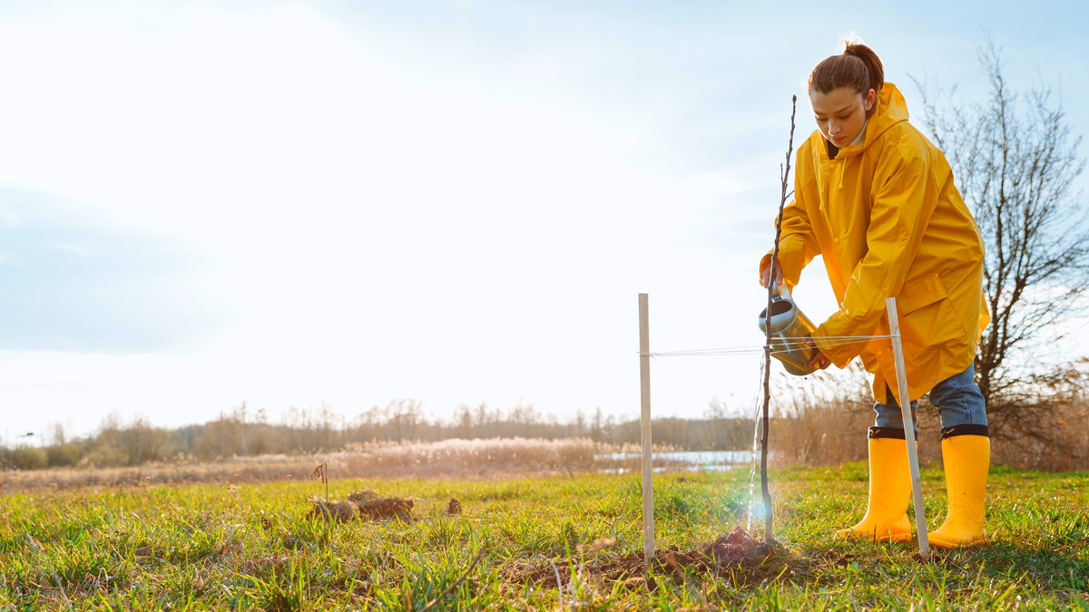 NorthStaffsGP's tweet photo. Your city needs you!

@SoTCityCouncil are working with @WoodlandTrust to plant more than 11,000 trees around the city to help tackle climate change.

To find out more 👉👉👉 https://t.co/fLXgbf2q6b

#BigClimateFightback #GreenSpacesStoke #TreePlantingProject https://t.co/AtrRgpOsR9