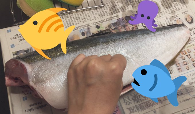 魚捌きのtwitterイラスト検索結果 魚捌きのtwitterイラスト検索結果