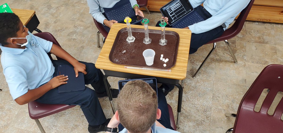 St. Mary Assumption tweet media