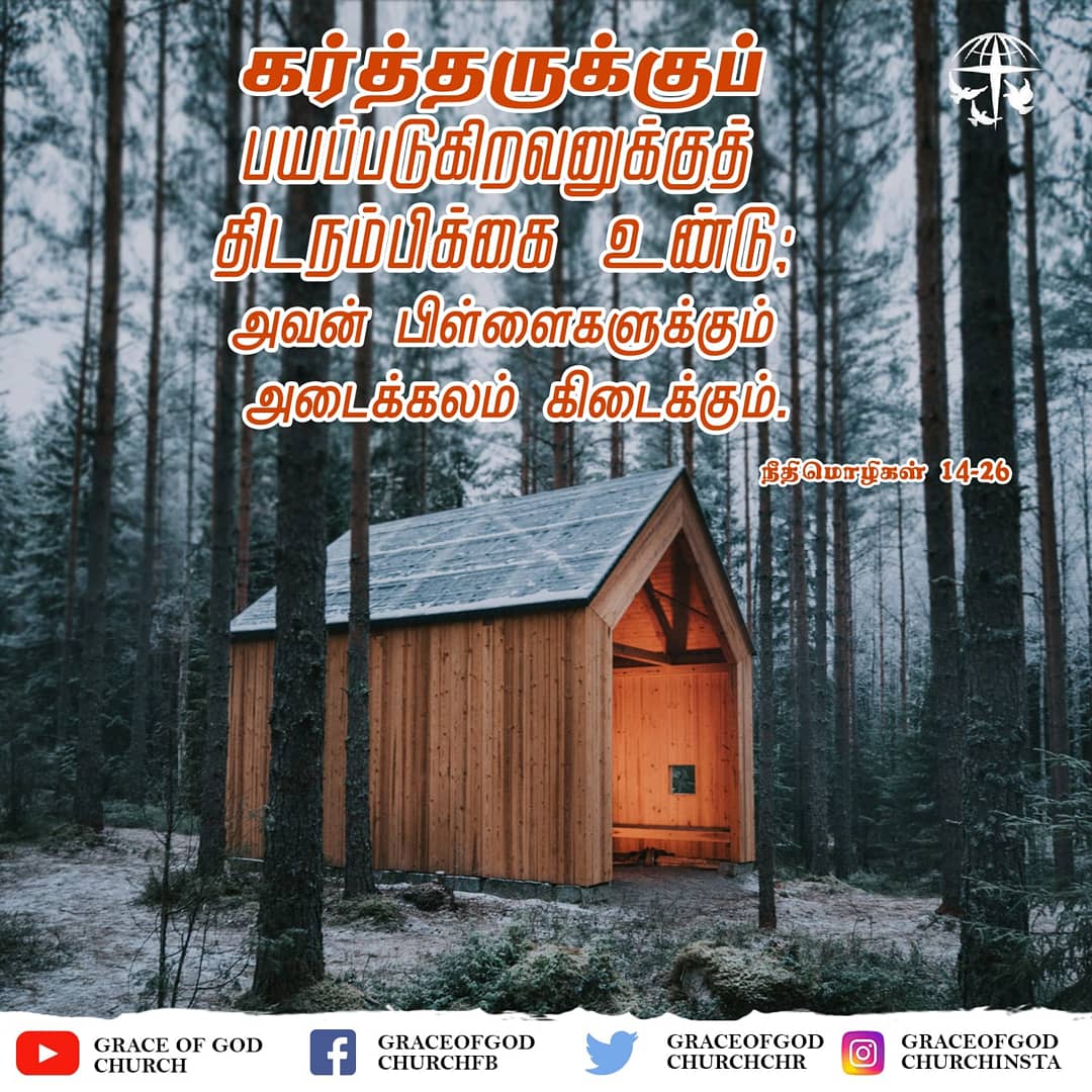 graceofgodchr's tweet photo. Whoever fears the LORD has a secure fortress, and for their children it will be a refuge.

Proverbs 14:26

#pray #godisgood #believe #grace #blessed #amen #worship #verseoftheday #bibleverses #jesussaves #biblequotes https://t.co/foueEuqahz