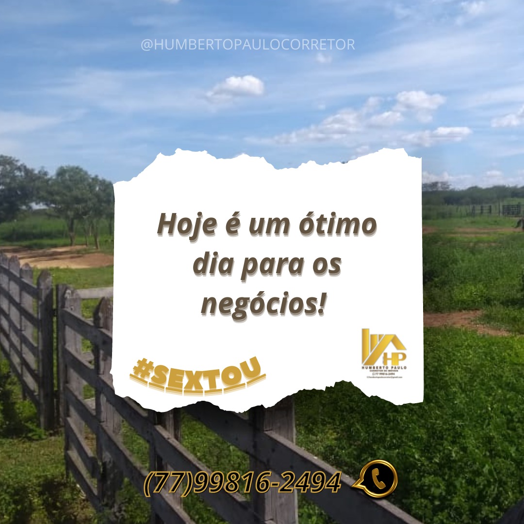 zelapaulo's tweet photo. SEXTOU...
#humbertopaulocorretor👔🤝
#venhainvestir #falecomigo #agronegocio #agrolife #agrolife https://t.co/QY0dot5c1k