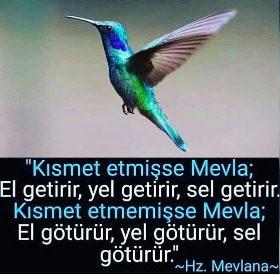 illehimUrfa's tweet photo. Kısmet etmiş ise Mevla; el getirir, yel getirir, sel getirir.
Kısmet etmez ise Mevla; el götürür, yel götürür, sel götürür. 
- Hz. Mevlana https://t.co/ktflUyGxNL