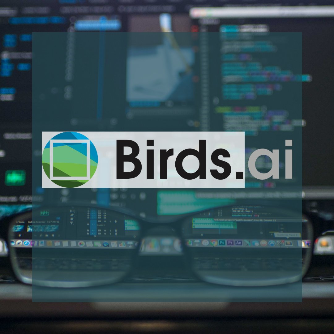 Birds.ai tweet media