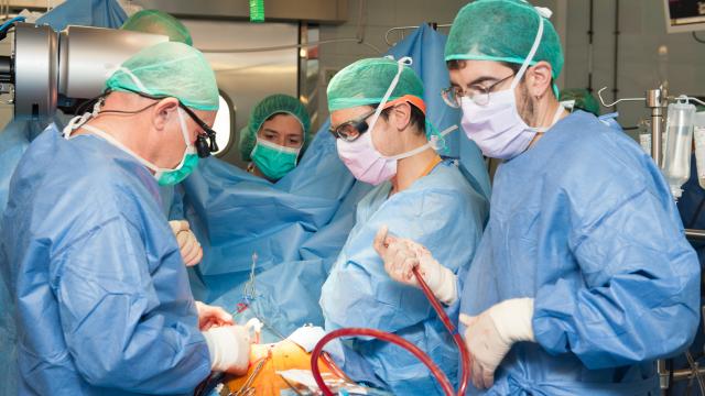Hospital Universitari Bellvitge | HUB tweet media