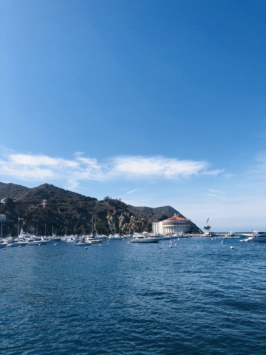 Kiki_Tsakalakis's tweet image. Just an intriguing CA Island holding a jammin’ ⁦@CatalinaFilm⁩ fest! Take that ferry and come join! Just #SILENTNOTES happy! #2021catalinafilmfest ⁦@festivalflix⁩